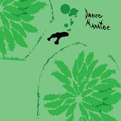 Animal Collective : Danse Manatee